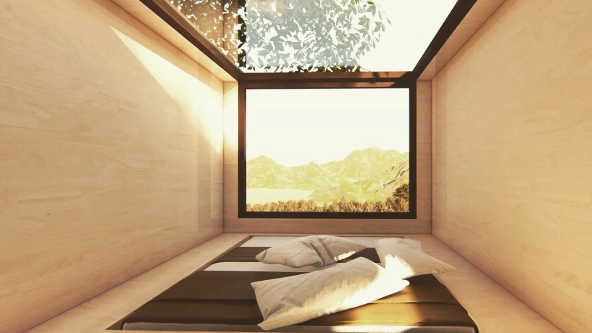 Portfolio - immagine 19